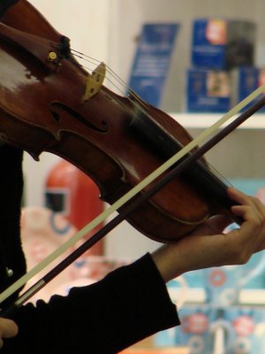 themusicans8.jpg