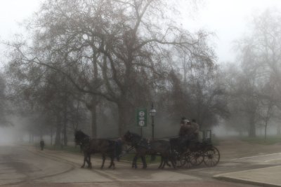Hyde Park Fog