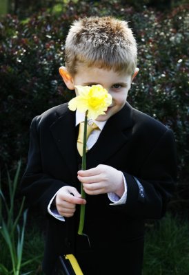 Daffodil Kid