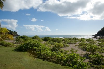 Inlet at Allerton Garden