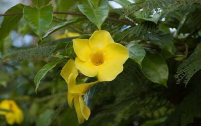 g6/73/607073/3/72410261.qivEr87g.jpg