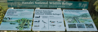 Hanalei National Wildlife Refuge