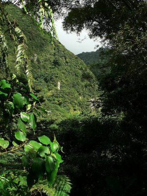P1000845_pbase.jpg