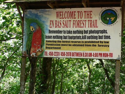 Trip to the tropical rain forest - Enbas Saut