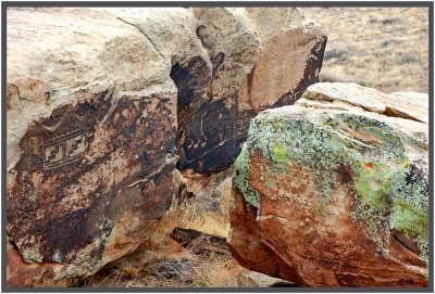 Petrified Forest National Park