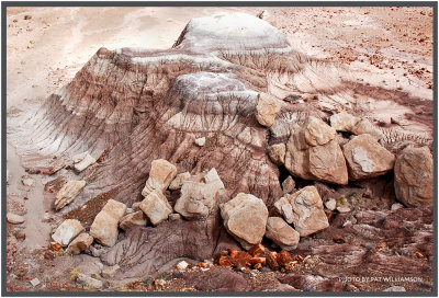 Petrified Forest National Park