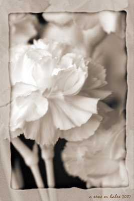 g6/73/640173/3/82445313.8nJPVsai.jpg