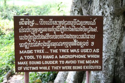 Sign describing the magic tree which had a microphone making sounds that drowned out the moans.
