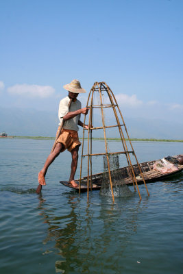 If there are any fish inside, he lets the net drop.  With some skill and luck, the fish is caught.