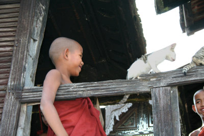 More monks and cats.