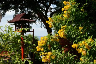 These are the gardens of a lovely outdoor restaurant (albeit, it was very hot) where we stopped to have lunch.