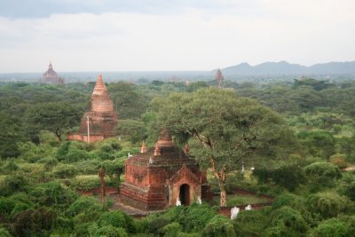 Temples and pagodas among lush trees and plants.