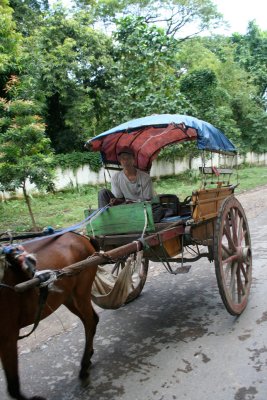 A horse and buggy that was passing by the Mahagandayon Monastery.