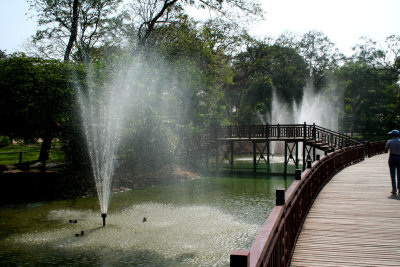 After leaving Karaweik Hall, we walked through Kandawgyi Nature Park located on the Royal Lake.