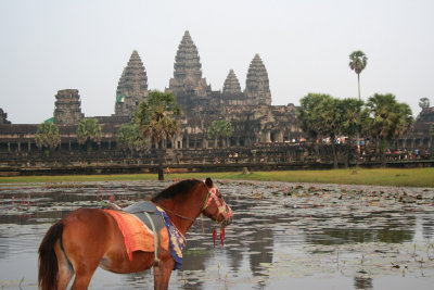 This picture of the horse in front of the Angkor Wat Temple would make a good postcard!
