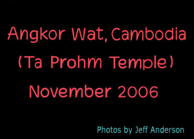 Angkor Wat (Ta Prohm Temple) cover page.