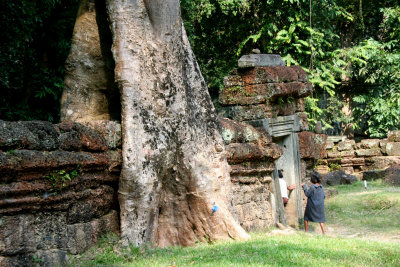 A tree has overtaken this wall at the temple.  It appears as though the tree has grown into 2 parts.