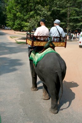 These riders were in front of my elephant.