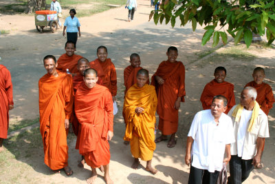 I took this picture of the monks from the elephant that I was riding.