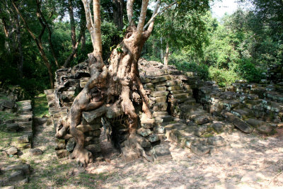 Along a road in Angkor Wat was this gnarly tree growing on some ancient ruins.