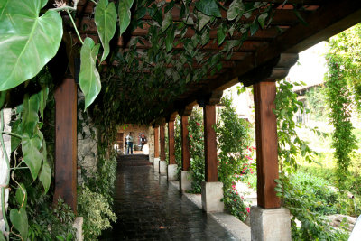 Verdant passageway inside Casa Santo Domingo convent.  This colonial-era convent housed the order of Santo Domingo de Guzmn.