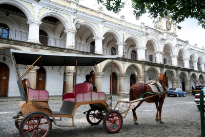 A quaint horse and buggy scene in front of the Palace of the Captains-General.