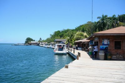 Boats tied up along the dock at Anthony's Key Resort which is popular for diving.