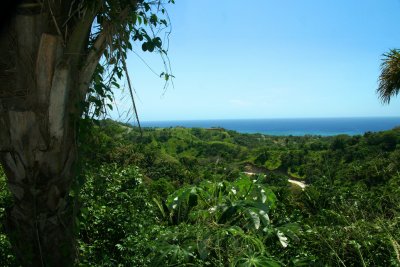 More views of the South Shore.  You can see how lush the rainforest is in Roatn.