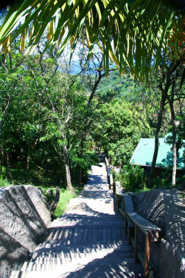 We came to this wooden path leading down the hill to some quaint houses below.