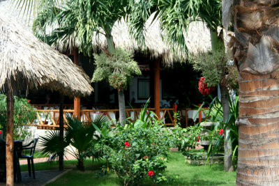 Some of the tropical flowers and straw roofs at the Hotel Europeo in Managua.