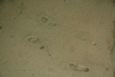The Acahualinca footprints, dating back 6,000 years, are the oldest proof of human activity in the area of Lake Managua.