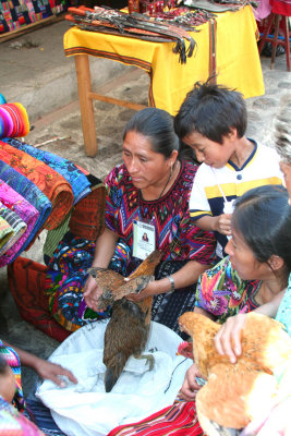 These people were selling chickens.