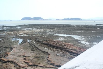 View of the muddy shoreline of the Bay of Panama.