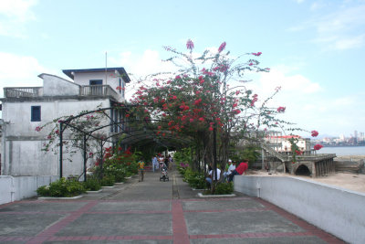 Las Bvedas passageway with gorgeous flowers and overhead trellises.