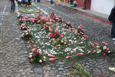 The pink flowers and petals stood out on the pine needles.