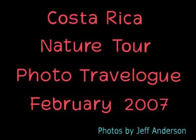 Costa Rica Nature Tour (February 2007)
