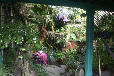 The Posada Belen also has an interior garden where one can sit and relax.