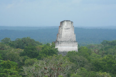 View of Temple III from the top of Temple IV in Tikal.