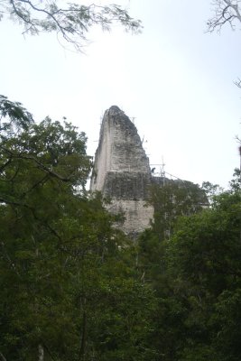 Temple IV is the highest temple in Tikal at 229 ft. and the highest structure in the Americas until the advent of skyscrapers.
