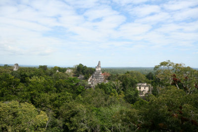 View from the top of Temple V of the rainforest below and (what I believe is) Temple I.