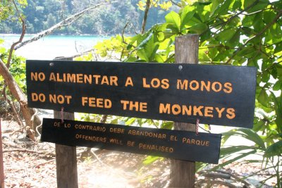 We now were entering an area of the rainforest where there were lots of white faced (capuchin) monkeys.