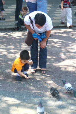 A mother and child were feeding the pigeons.