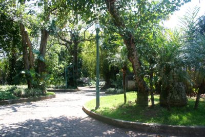 Nice pathway and trees in Parque Espana.