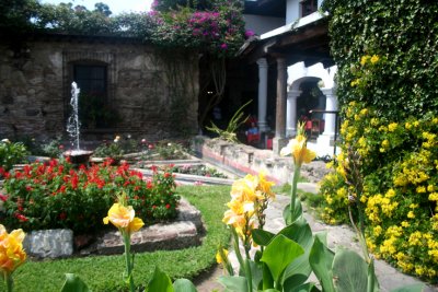 Beautiful flowers at the La Posada de Ron Rodrigo Hotel.