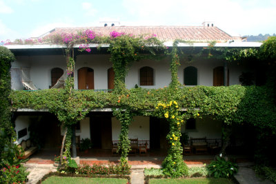 A section of the hotel with foliage covering it.