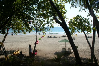 A view of the beach through some shade trees.