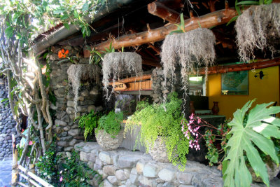 Moss hanging baskets and potted plants at the Hotel Cacique Inn.
