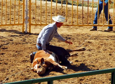 Plymouth Ranch Rodeo