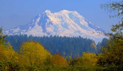 Mt. Rainier with fall colors 1