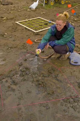 Sauvie Island Archaelogical Dig   - 2007
